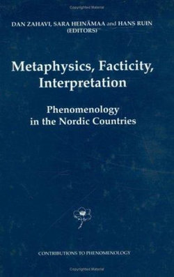 Metaphysics, Facticity, Interpretation