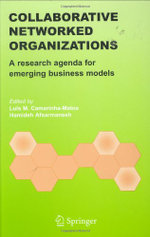 Collaborative Networked Organizations