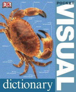 Pocket Visual Dictionary