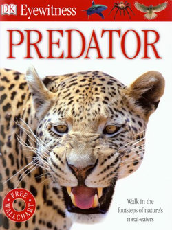 Predator