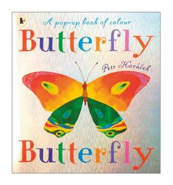Butterfly, Butterfly