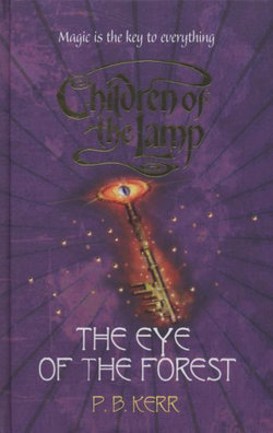 The Eye of the Forest