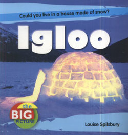 Igloo