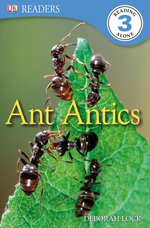 Ant Antics