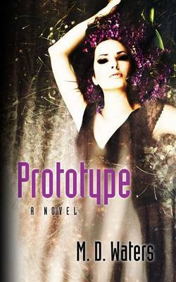 Prototype