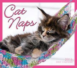 Cat Naps Calendar