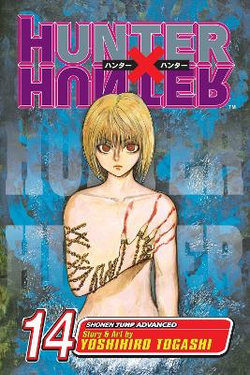 Hunter x Hunter, Vol. 33 (33): Togashi, Yoshihiro: 9781421592640:  : Books