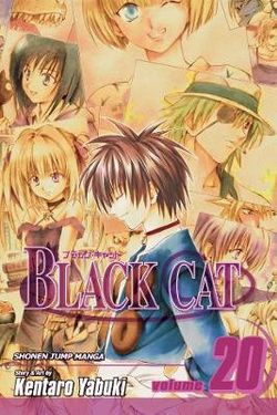 Black Cat, Vol. 20