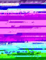 En el Trabajo: Paisajistas