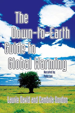 The down to Earth Guide to Global Warming