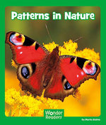 Patterns in Nature