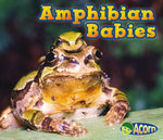 Amphibian Babies
