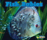 Animal Babies Fish Babies