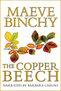 The Copper Beech