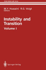Instability and Transition