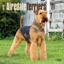 Airedale Terriers 2015 Square 12x12