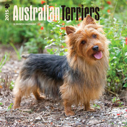 Australian Terriers 2015 Square 12x12