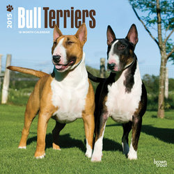 Bull Terriers 2015 Square 12x12