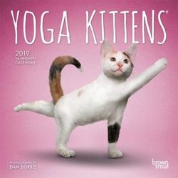 Yoga Kittens 2019 Mini Wall Calendar