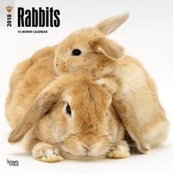 Rabbits 2018 Wall Calendar