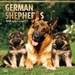 German Shepherds 2018 Wall Calendar