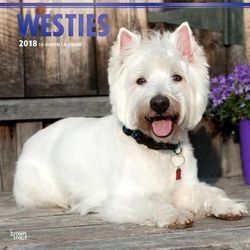 West Highland White Terriers 2018 Wall Calendar