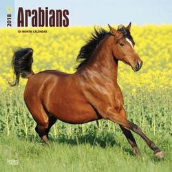 Arabians 2018 Wall Calendar