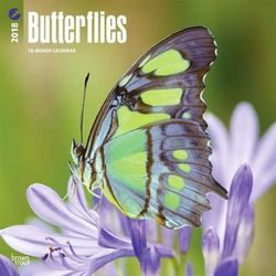 Butterflies 2018 Wall Calendar