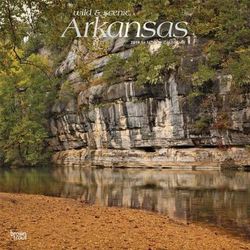 Arkansas Wild & Scenic 2019 Square Foil