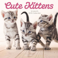 2015 Cute Kittens Wall Calendar