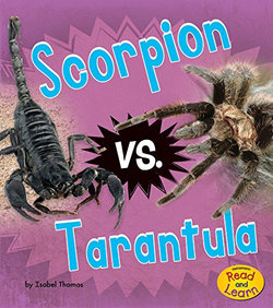 Scorpion vs. Tarantula