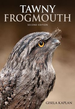 Tawny Frogmouth