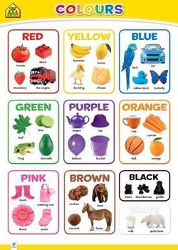 School Zone Wall Chart: Colours