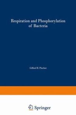 Respiration and Phosphorylation of Bacteria