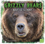 Grizzly Bears