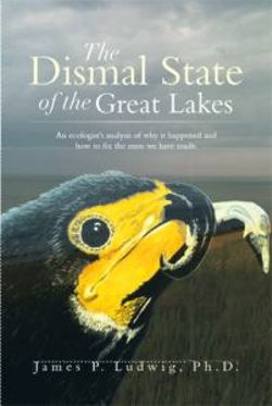 The Dismal State of the Great Lakes