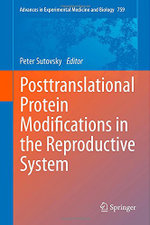 Posttranslational Protein Modifications in the Reproductive System