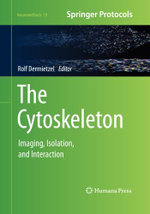 The Cytoskeleton