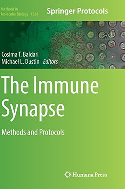 The Immune Synapse