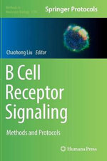 B Cell Receptor Signaling