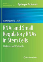 RNAi and Small Regulatory RNAs in Stem Cells