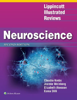 Neuroscience 2ed