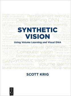 Synthetic Vision
