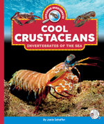 Cool Crustaceans