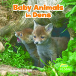 Baby Animals in Dens