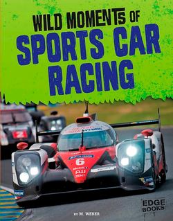 Wild Moments of Motorsports