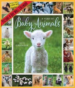 A Year of Baby Animals Picture-A-Day Wall Calendar 2019
