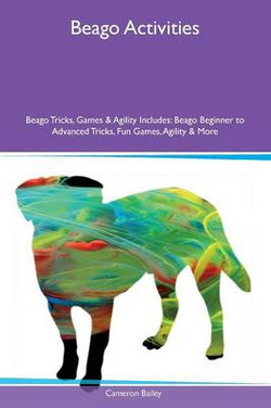Beago Activities Beago Tricks, Games & Agility Includes