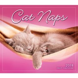 Cat Naps 2018 Day-to-Day Calendar