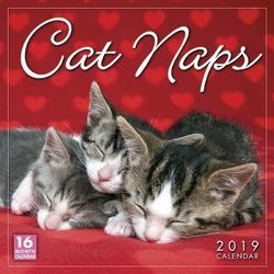 Cat Naps 2019 Calendar